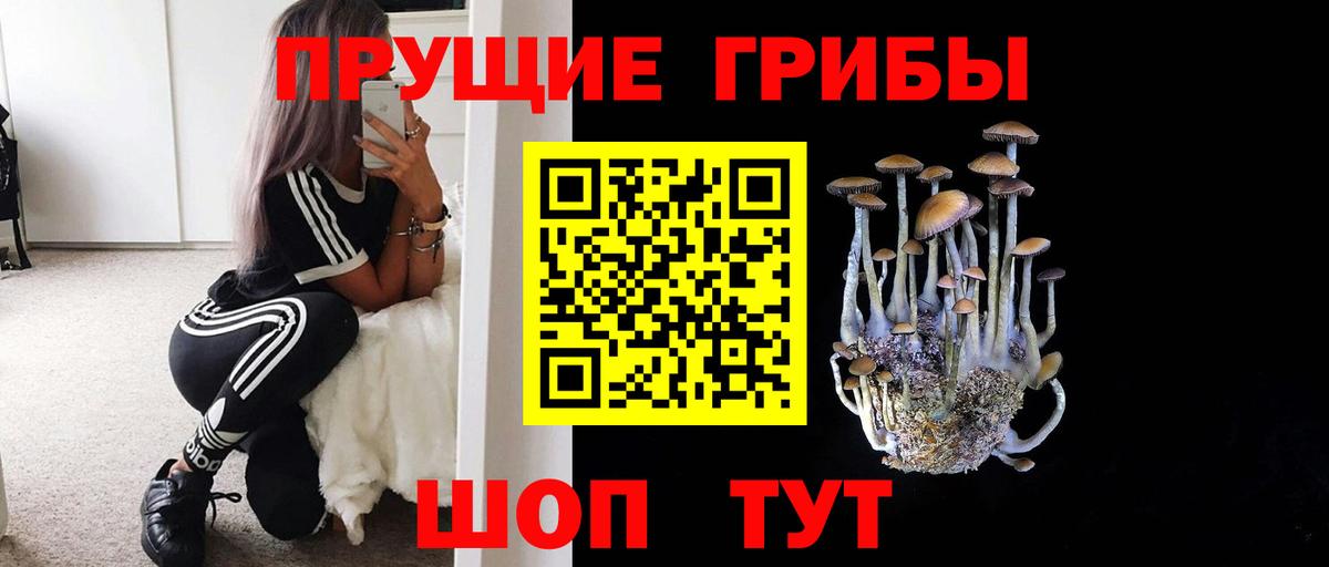 Псилоцибиновые грибы мицелий  Вход с VPN  Саяногорск 
